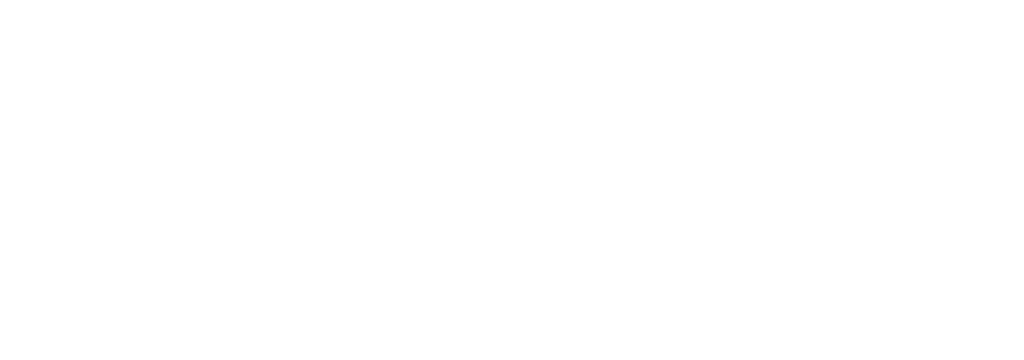 Logo Evelo