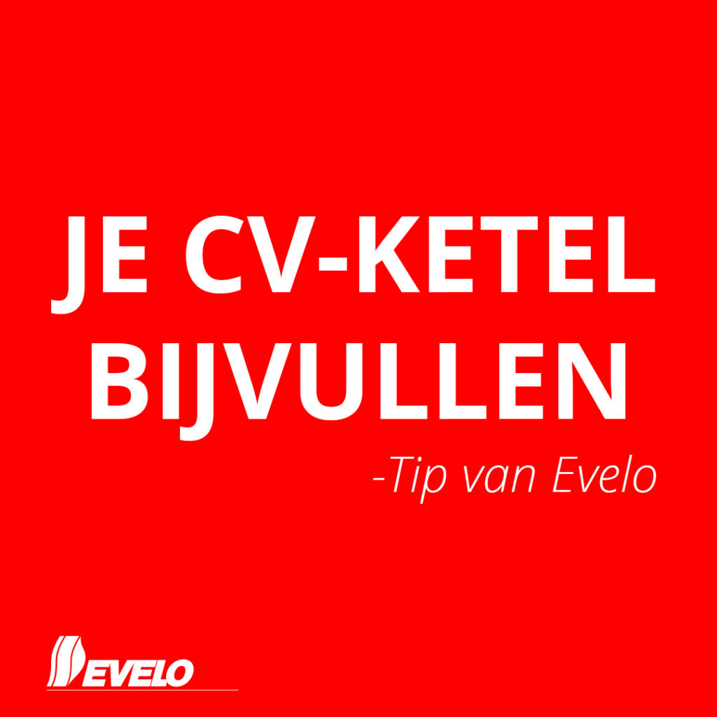 www.evelo.nl